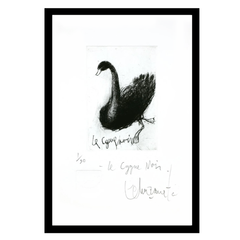Alfredo Echazarreta - Le cygne noir