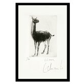 Le lama