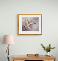 Mario Toral - En el espacio