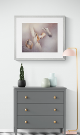 Mario Toral - En el espacio