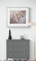 Mario Toral - En el espacio