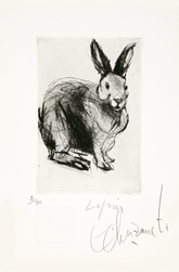 Le lapin