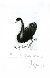 Alfredo Echazarreta - Le cygne noir