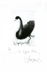 Alfredo Echazarreta - Le cygne noir