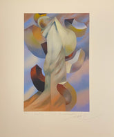 Mario Toral - Piedras y cuerpo en ascensión