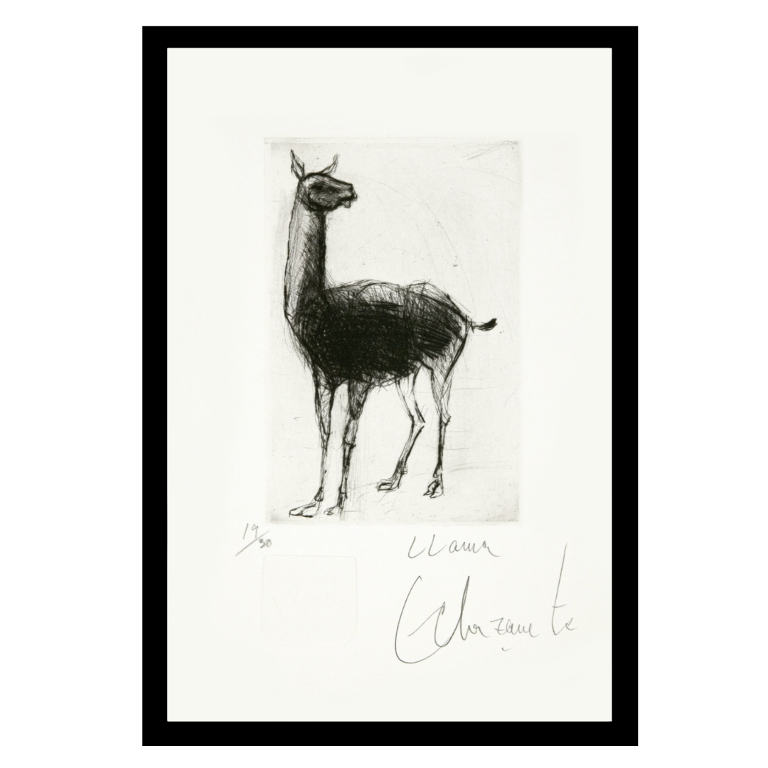 Le lama