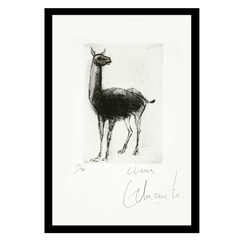 Le lama