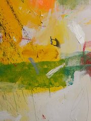 Vida de Colores - Giancarlo Bertini