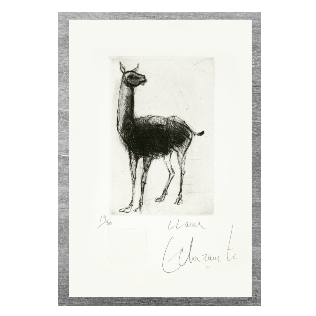 Le lama