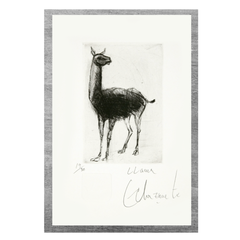 Le lama