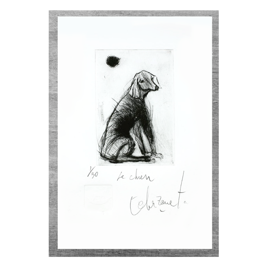 Alfredo Echazarreta - Le chien