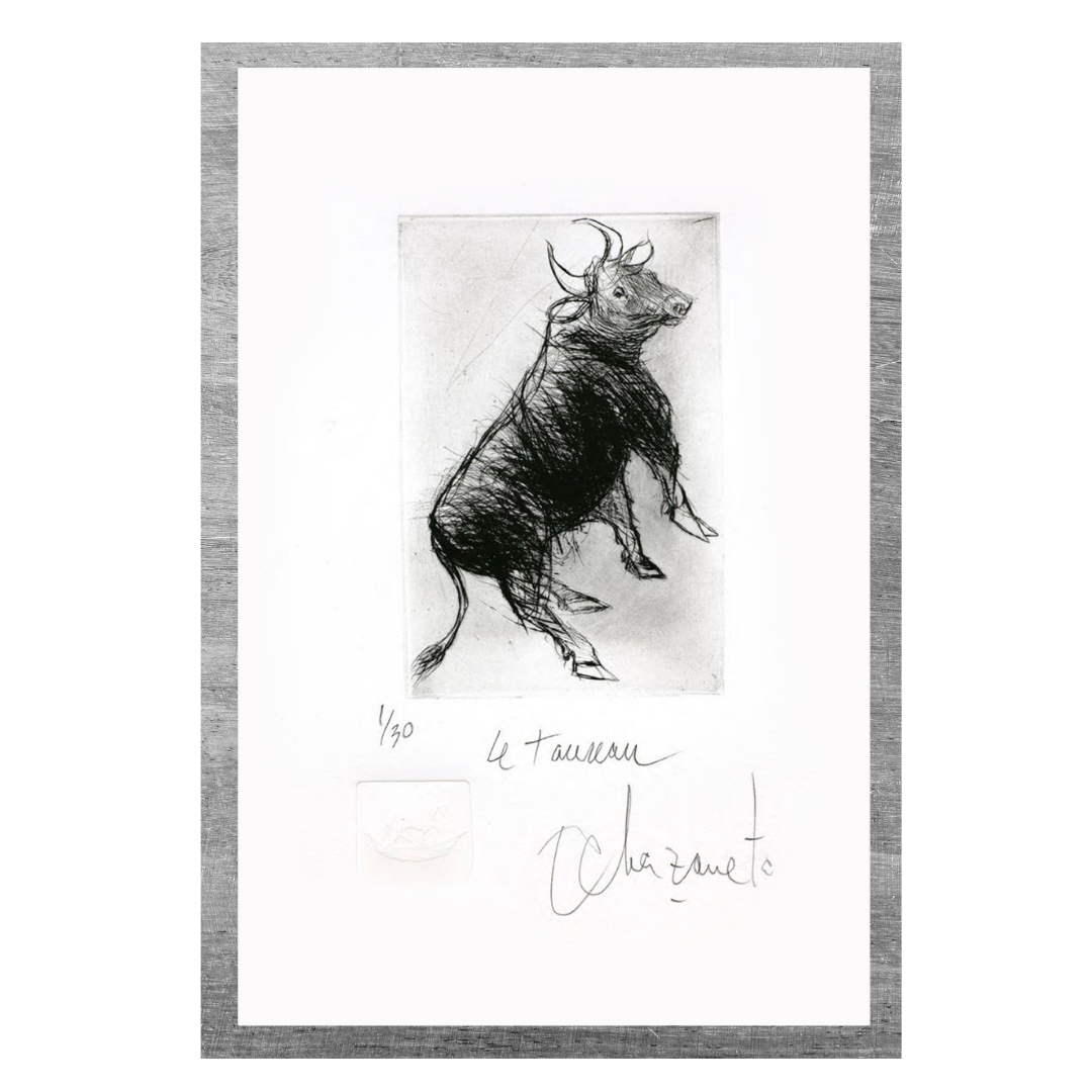 Alfredo Echazarreta - Le taureau