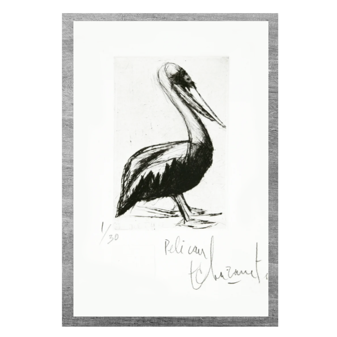 Le pelican