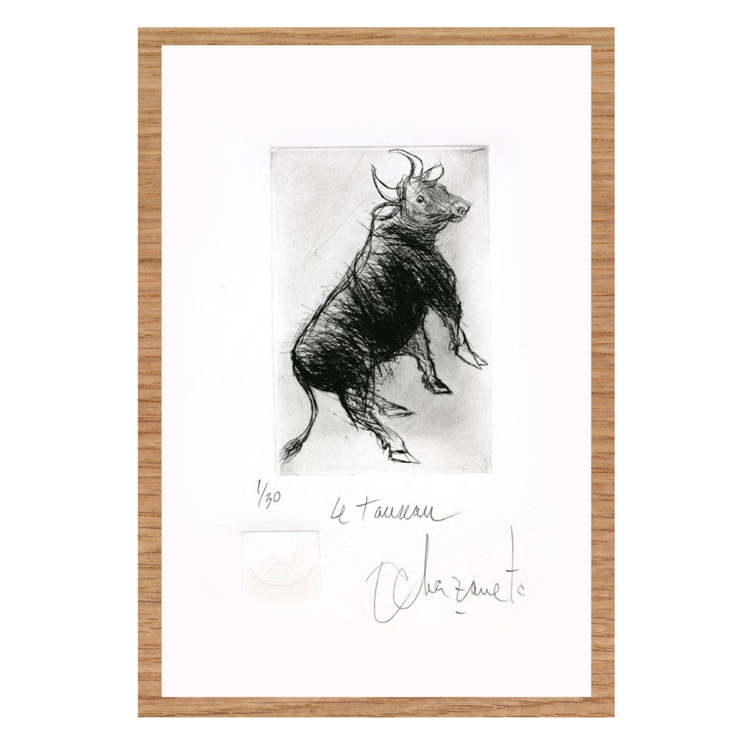 Alfredo Echazarreta - Le taureau