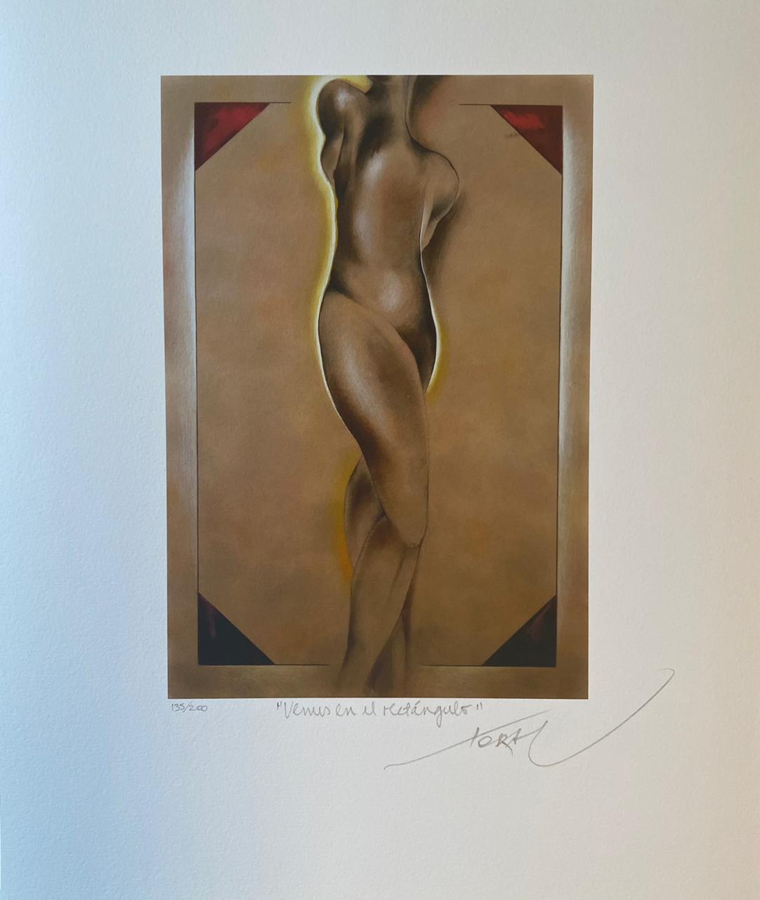 Mario Toral - Venus en el rectángulos