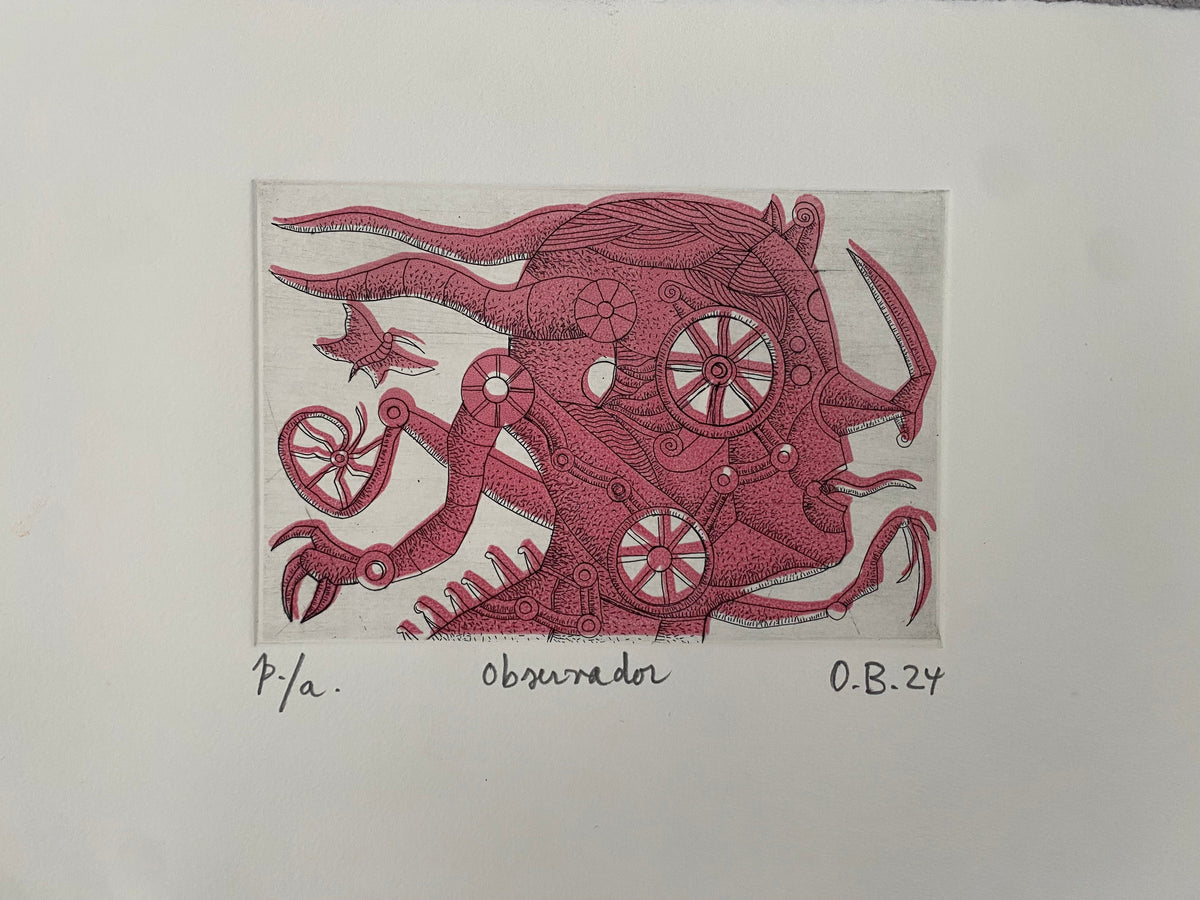 Observador