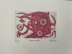 Observador