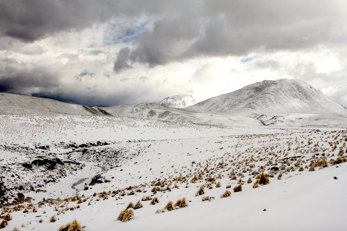 Altiplano Nortino