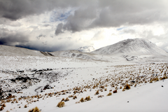 Altiplano Nortino