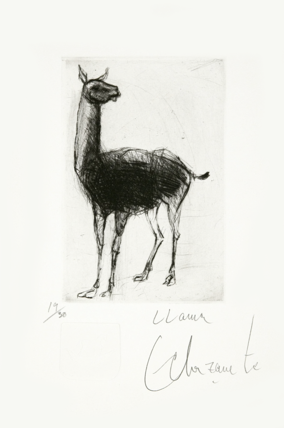 Le lama