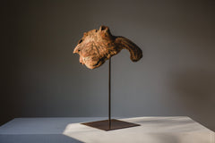 Elefante