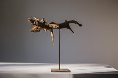 Toro