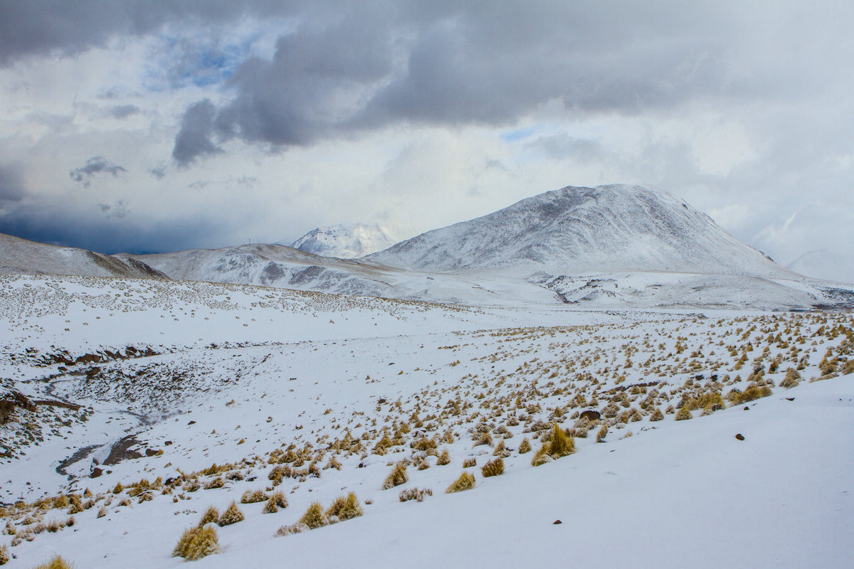 Altiplano Nortino con su inmensidad interminable