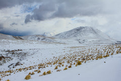 Altiplano Nortino con su inmensidad interminable