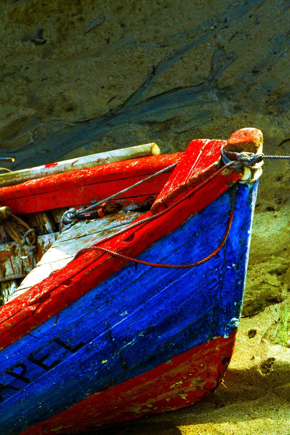 Colores fuertes para los bravos mares del sur